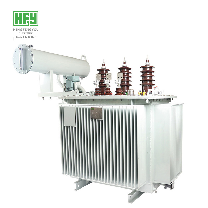 Oil immersed power transformer