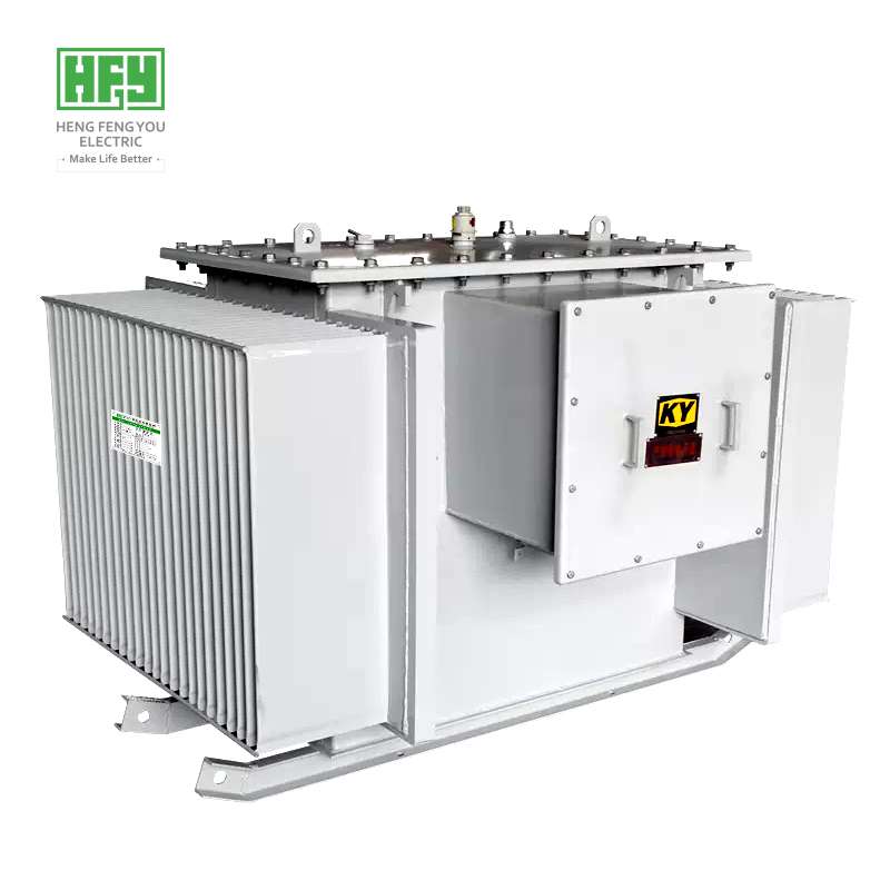 Oil immersed power transformer