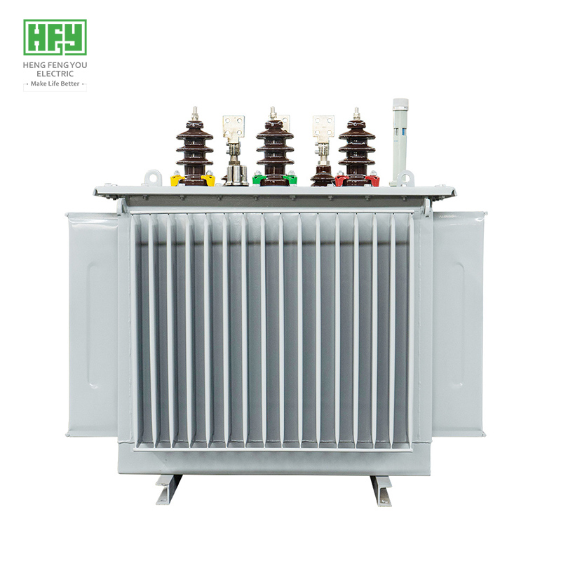 Oil immersed power transformer