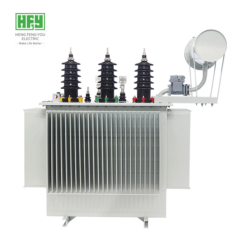 Oil immersed power transformer